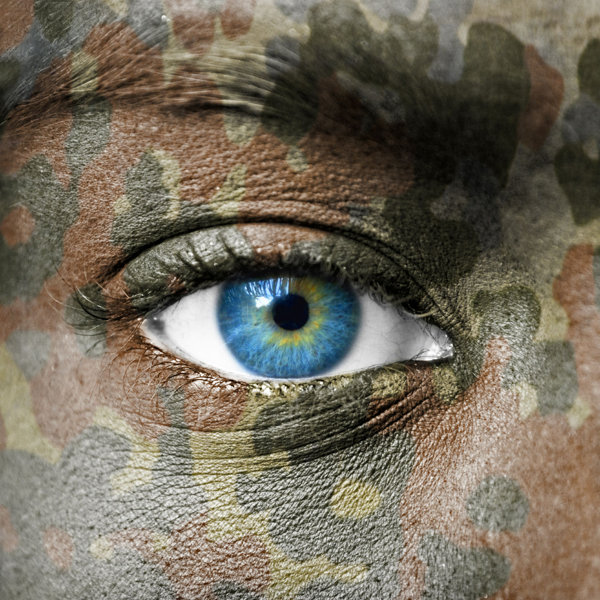 Ebern Designs Mariejeanne Soldiers Eye by Wrapped Canvas Photograph